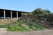 Grünschnitt und Äste von Sträuchern lagern in Haufen vor einer Halle.