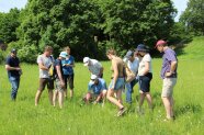 Eine Gruppe von Menschen schaut sich interessiert die Pflanzen auf einem Feld an