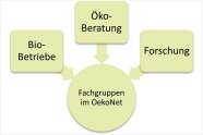 Grafik mit drei Bereichen Bio-Betriebe, Öko-Beratung, Forschung, die zusammen auf den Kreis "Fachgruppen im OekoNet" zeigen