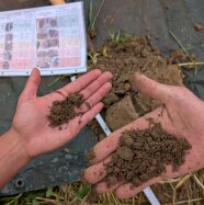 Vergleich verschiedener Bodenstrukturen in unterschiedlichen Tiefen