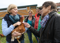 Frauengruppe mit Huhn.