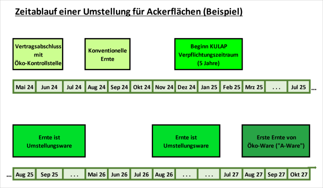 Zeitablauf einer Umstellung für Ackerflächen (Beispiel) mit einer Zeitleiste grafisch dargestellt.