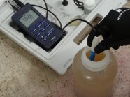 Messung des pH-Wertes (hier 7,9) mit einer Sonde in einer Wasserprobe im 1-Liter-Gefäß