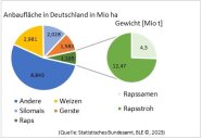Anbauflächen in Deutschland 2022 in Millionen Hektar: Weizen (2,981), Silomais (2,028), Gerste (1,583) und Raps (1,165). 