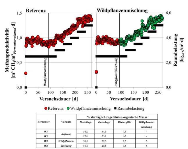 Methanproduktivität der getesteten Varianten im Durchflussversuch. Versuchsvariante: Kontinuierliche Nutzung von Wildpflanzenmischungen als Biogassubstrat. 