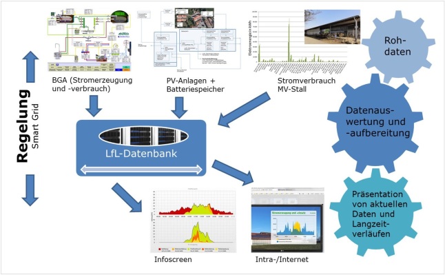 Dargestellt sind die Energieflüsse für das Datenmanagement und die Visualisierung sowie deren Einbindung in die Datenflussstruktur der gesamten Liegenschaft des LVFZ Almesbach. Im Einzelnen ist das die Energieerzeugung der Biogasanlage, der Photovoltaikanlage und der Batteriespeicher als auch der Stromverbrauch der Biogasanlage und des Milchvieh-, Trockensteher und Kälberstalls.