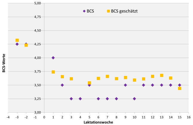 Grafik in der mit gelben und lila Symbolen der ermittelte und der geschätzte BCS-Verlauf einer Beispielskuh dargestellt ist