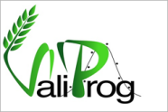 Valiprog