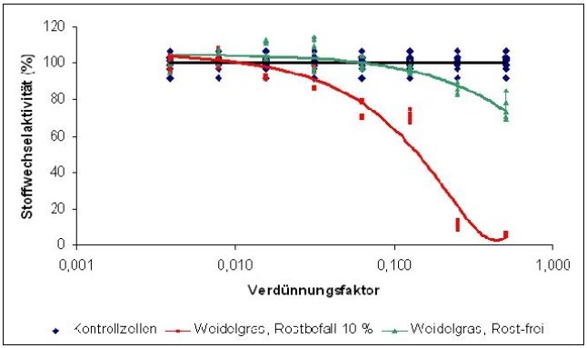 Abb. 2: Einfluss von Rostbefall an Gräsern auf die Stoffwechselaktivität von Säugetierzellen am Beispiel von Kronenrost (<i>Puccinia coronata</i>) an Deutschem Weidelgras (<i>Lolium perenne</i> L.) 