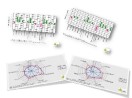 Bild zeigt Diagramme, die Qualitätseigenschaften von Sommergerstensorten verdeutlichen