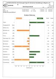 Darstellung des Stärken-/Schwächen-Profils als Balkendiagramm mit orangen Balken nach links für Schwächen und grünen nach rechts für Stärken