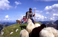 Ein Schäfer hinter seinen Schafen auf einer Bergkuppe.