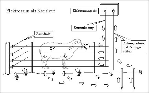Herdenschutz Aufbau und Wartung einer elektrischen Einzäunung LfL