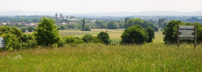 Ausblick Maintal Steigerwald