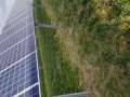 Fotovoltaikanlage auf Grünland. (Foto: Janine Nachtsheim, LAZBW Aulendorf)