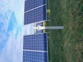 Fotovoltaikanlage auf Grünland. (Foto: Janine Nachtsheim, LAZBW Aulendorf)
