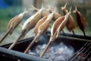 mehrere Steckerlfische über einem Grill