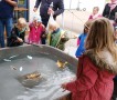 Kinder an einem Wasserbecken mit Pappfischen