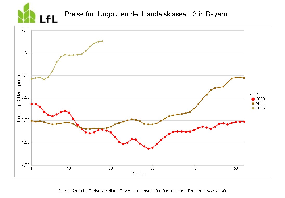 Entwicklung der Preise für Jungbullenfleisch