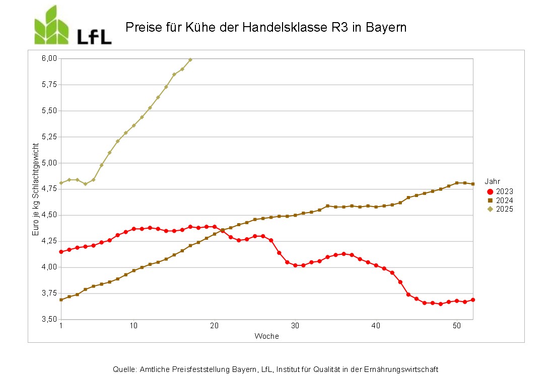 Entwicklung der Preise für Kuhfleisch