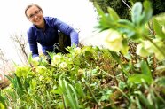 Botschafterin Judit kniet vor einem Beet.