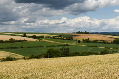 Blick auf Felder und Wiesen