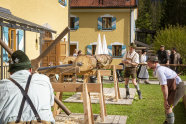 Drei Männer vor Baumstammdurchbohrung