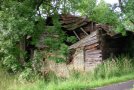 Kleinbauernhaus in Holzblockbauweise in eingefallenem Zustand vor der Sanierung von Gras und Bäumen eingewachsen