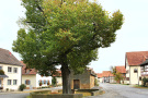 Kleine Insel mit einem Backhaus unter einer Linde. Links und rechts führt die Ortsstraße vorbei.