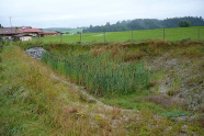 Wasserrückhaltebecken mit Überlaufvorrichtung. Der Untergrund ist mit Schilf bewachsen.