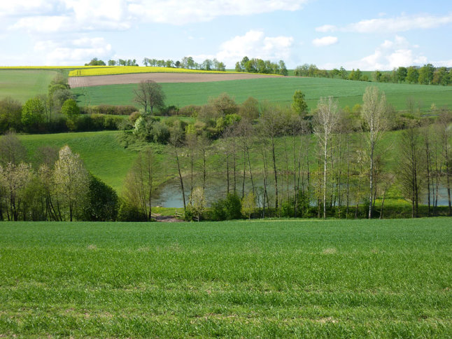 Hügelige Landschaft mit Äckern, Wiesen, Hecken und einem Fischweiher