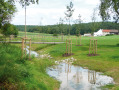 Naturnah gestalteter kleiner Bachlauf, über den eine Brücke führt und in dessen Bereich neue Bäume gepflanzt wurden.