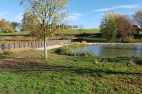 Ein mit Wasser gefülltes Rückhaltebecken integriert sich in die herbstliche Landschaft mit Bäumen und Sträuchern.