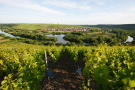 Weinberg und Mainschleife, in der Winzerort Nordheim liegt