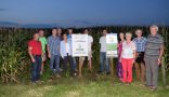 Gruppenfoto mit auf dem Feld Energiepflanze Silphie