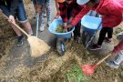 Kinder laden Silage in kleine Schubkarren (Foto: Warmuth/StMELF)