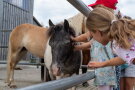 Zwei Mädchen streicheln ein Pferd in einer Koppel