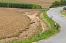 Abgeerntetes Feld, von dem nach einem Starkregen oberflächlich Boden abgeschwemmt wurde