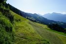 Gemähte Hangwiese vor Bergkulisse