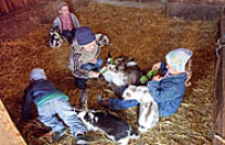 Kinder im Hasenstall und füttern die Hasen mit Salat