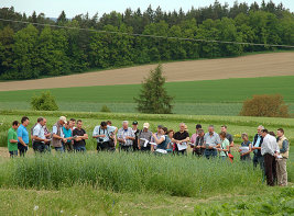 Eine Gruppe informiert sich über Energiepflanzen direkt auf dem Feld