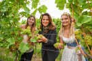 Ministerin Kaniber mit der Fränkischen und der Nordheimer Weinprinzessin