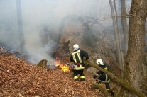 Die Feuerwehr bei einem Waldbrand (© StMELF)