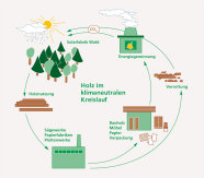 Kohlendioxid-Kreislauf (Grafik: Hopf, LWF)