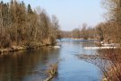 Die Isar - umgeben vom Auwald 