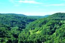 Mit Waldbewachsene Hügellandschaft