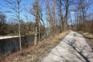 Radweg im Auwald am Fluss entlang (© Felix Brundke)
