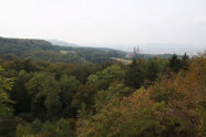 Blick über den Naturwald "Vierzehnheiligen" auf die Basilika Vierzehnheiligen vom Viktor von Scheffel-Blick aus (© Felix Brundke)