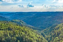 Blick über den Naturwald 