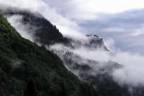 Nebel hängt im Bergwald (© Boris Mittermeier)
